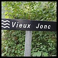 VIEUX JONC 41.JPG